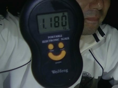 雨の中アオリイカ釣り